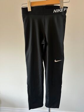 Nike Pro 365 Leggings